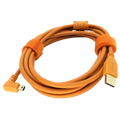 Cable Tether USB a Mini USB