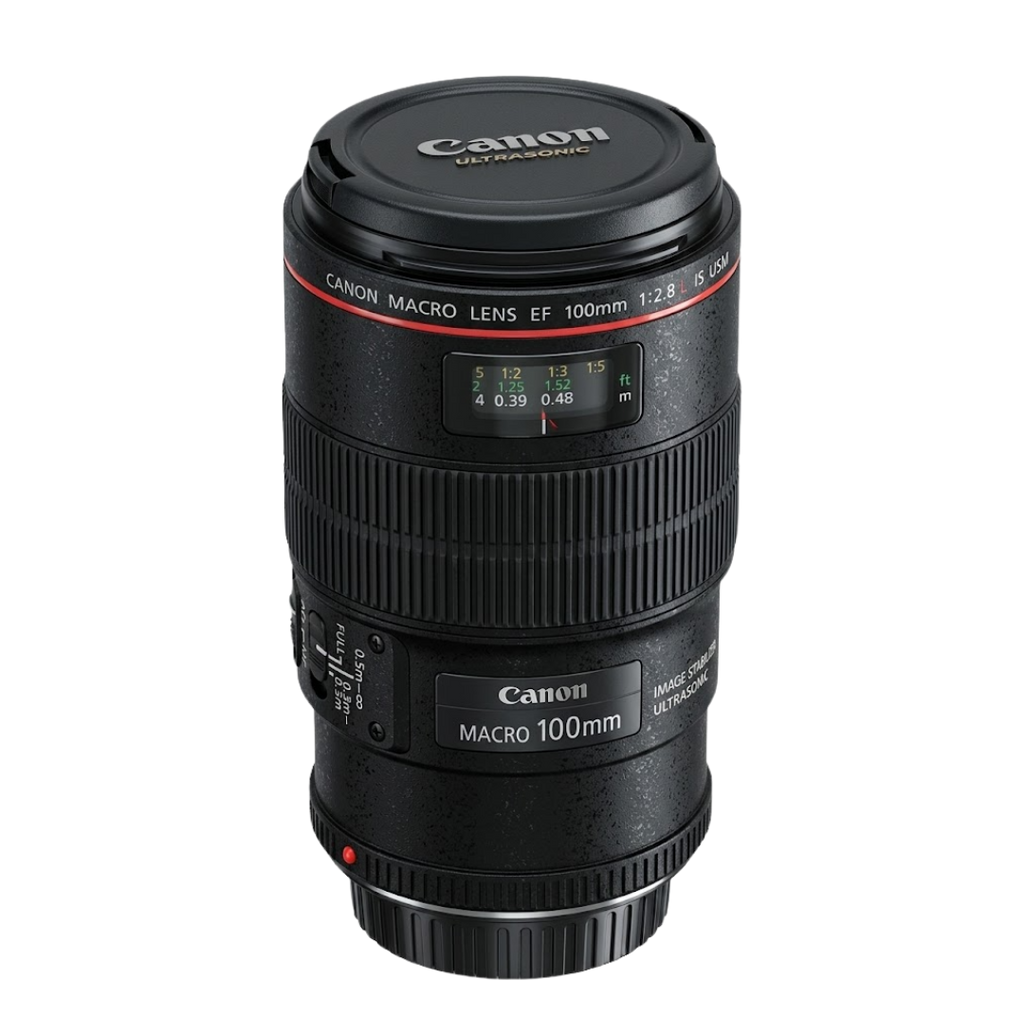 Canon EF Macro 100mm 2.8 L