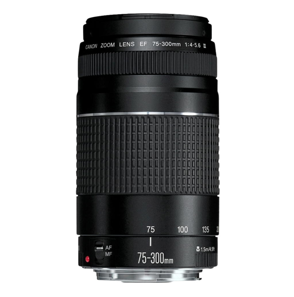 Canon EF 75-300MM N