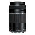 Canon EF 75-300MM N