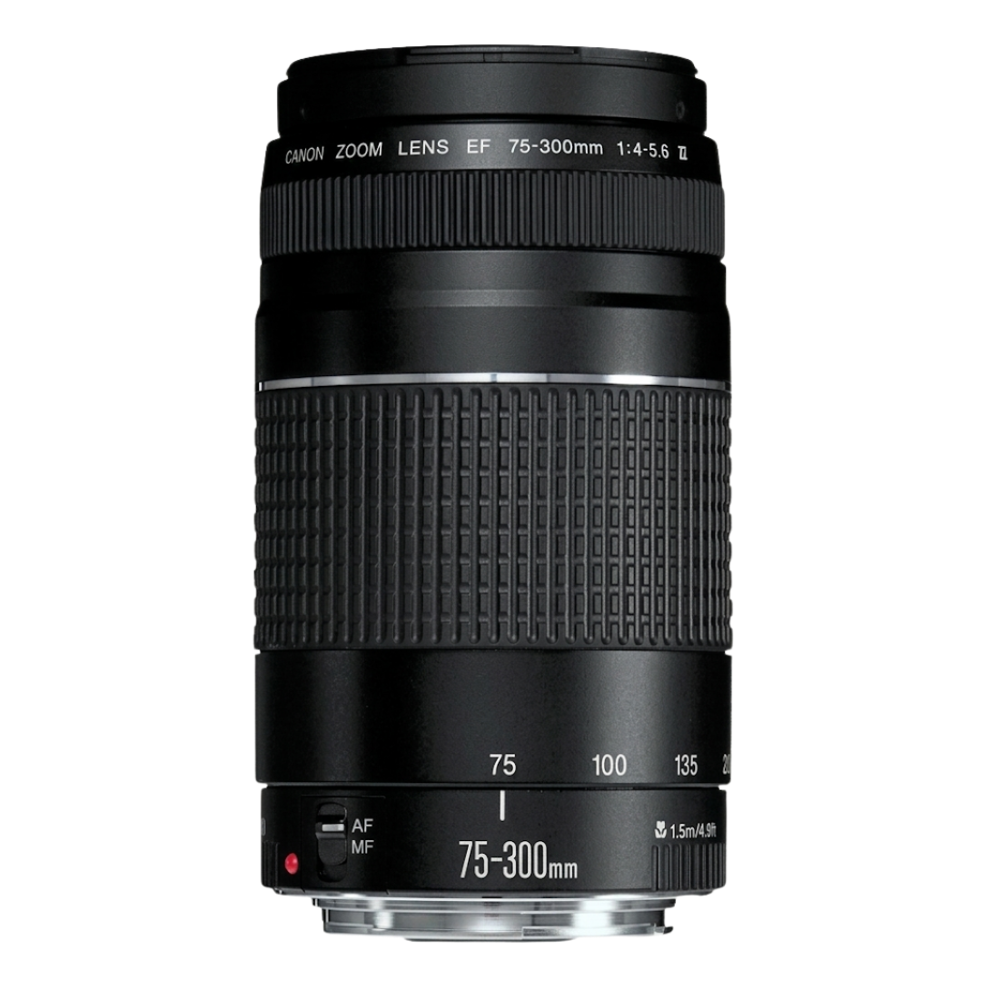 Canon EF 75-300MM N